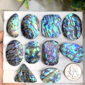 Geselecteerde abalone schelp cabochon, natuurlijke halfedelsteen voor sieraden, handgemaakte abalone schelp handgemaakte edelsteen sieraden LOT-A213