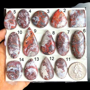 SELECTED Crazy Lace Agaat Cabochon, Handgemaakte Cabochon, Losse Sieraden, Agaat Gebruik Voor Mode-sieraden, Bescherming Kristal, Edelsteen LOT-A29