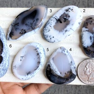 Ausgewählte Dendrit Opal Cabochon, Qualität Edelstein für die Schmuckherstellung, handpolierte Cabochons, lose Edelstein LOT-P1