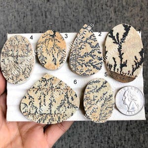 Dendrite Fossil Cabs, puoi ottenere qualsiasi pietra ti piaccia da questo vassoio se sono disponibili, le pietre sono di qualità eccezionale LOT-E