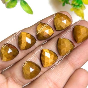 Tijgeroog gefacetteerde roos geslepen edelsteen, 12 x 12 mm biljoen vorm 9-delig edelsteen met achterkant, prachtige tijgeroog ringen, oorbellen en ketting