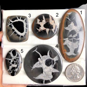 SELECTED zwarte septarian cabochon, natuurlijke halfedelsteen voor het maken van sieraden, zuidwestenstijl en handgemaakt ambachtelijk ontwerp LOT-A58