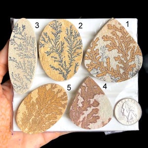 Hermoso cabujón fósil de dendrita seleccionado, semiprecioso, diseño artesanal, joyería, piedra preciosa fósil para joyería de moda, lote A22