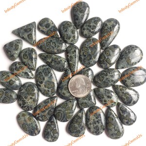 Topkwaliteit Kambaba Jasper Cabochon Groothandel Lot, Mix vormen en maten, Beste natuurlijke Kambaba Jasper Cabochon voor sieraden en ambacht
