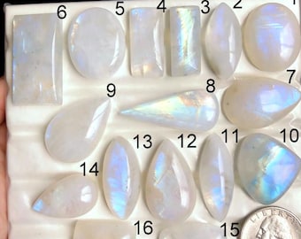 May include: A collection of sixteen polished moonstone gemstones in various shapes, including oval, teardrop, and rectangular. The stones display a milky white color with iridescent blue and rainbow flashes. A quarter coin is included for size reference.