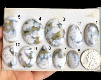 May include: Ten polished agate cabochons in various shapes and sizes, with a white and gray base and brown and black markings. The cabochons are arranged in two rows on a white surface, numbered 1 through 10.
