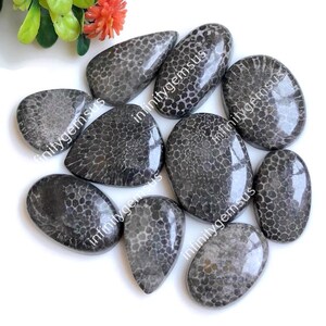 Schlange Fossil Cabochon, 18-25 mm Ungefähre Mix Form 10 Stück Packung wie in Bild, Fossil Schmuck, Fossil Kristall Edelstein Schmuck, 84577