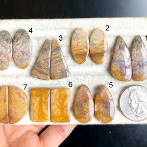Cabochon di agata di radice di palma selezionata, forma sorprendente e pietra preziosa di agata di radice di palma di qualità per la creazione di orecchini, avvolto con filo LOT-O3