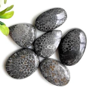 Cabochon fossile de serpent, 20 x 22 mm environ, forme mélangée 6 pcs/lot, pierres semi-précieuses naturelles pour bijoux, article cadeau 84645