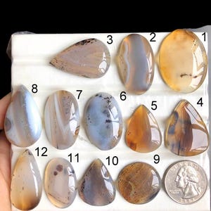 Cabujón de ágata Montana seleccionado, piedra semipreciosa natural para joyería, colgante de ágata con piedra natal, lote A76