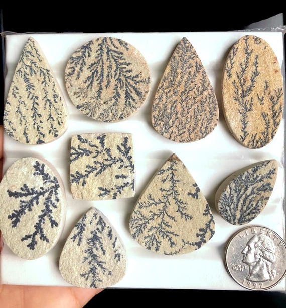 Dendrite Fossil Cabs, Natural Semi Precious Gemstone for Jewelry