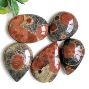 Cabochon en agate cacahuète, 21 x 31 mm environ, mélange de formes, lot de 5 pièces identiques à la photo, agate avec dos plat, pierre de naissance, pierre précieuse 84612