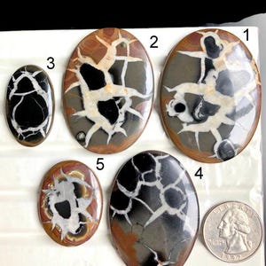 Cabujón septariano negro seleccionado, piedra semipreciosa natural para joyería, colgante envuelto en alambre, cristal curativo, lote A61
