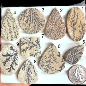 Dendrite Fossil Cabs, Natural Semi Precious Gemstone For Jewelry Making, Dendrite Fossil Crystal Pendants Jewelry LOT-A247