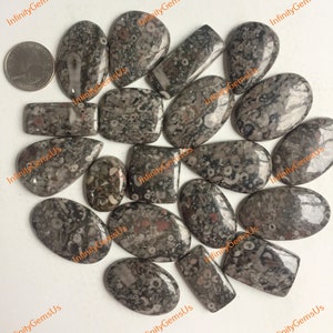 Topkwaliteit Crinoid fossiel Jasper Cabochon Groothandel Lot, Mix Vormen en Maten, Natuurlijke Crinoid fossiel Jasper Cabochon veel voor sieraden