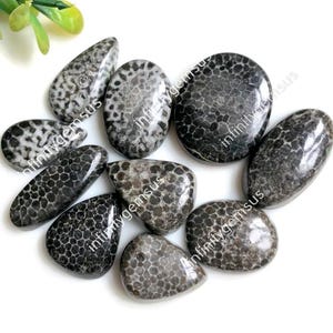 Cabochão de fóssil de cobra de qualidade incrível, 14 x 20 mm, formato misto, 10 peças, lote, pedra preciosa semipreciosa natural para joias, item de presente 84550