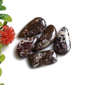 Wildes Pferd Cabochon, 18 bis 22 mm Ungefähr Mix Formen und Größen 5 Stück Lot, Halbedelstein für Schmuckherstellung, Energie Kristall