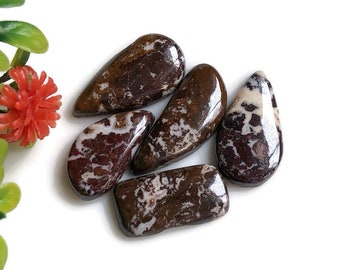 Cabochon di cavallo selvaggio, forme e dimensioni miste da 18 a 22 mm circa, lotto di 5 pezzi, pietra preziosa semipreziosa per la creazione di gioielli, cristallo energetico