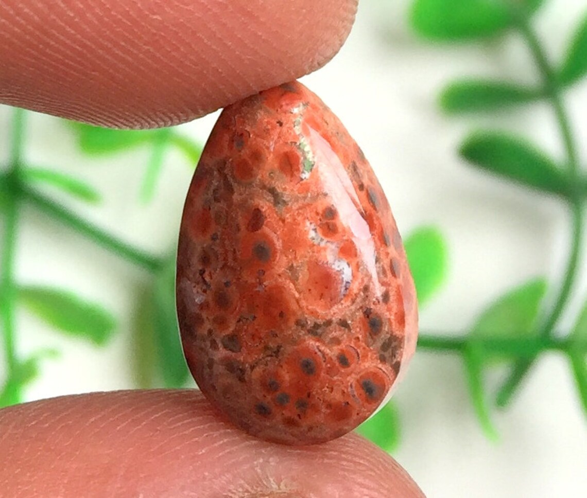 Top Quality Poppy Jasper Cabochon Natural Poppy Jasper Etsy
