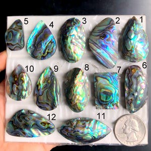 Cabochon di conchiglia di abalone SELEZIONATO, pietra semipreziosa naturale per pendenti, qualità AAA, pietra preziosa di fuoco arcobaleno in conchiglia di abalone, LOTTO-133