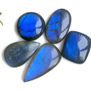 Topkwaliteit labradoriet, 19 x 29 mm (ca. gemengde vormen en maten), verpakking van 5 stuks blauw vuur laradoriet Gebruik voor sieraden 84215