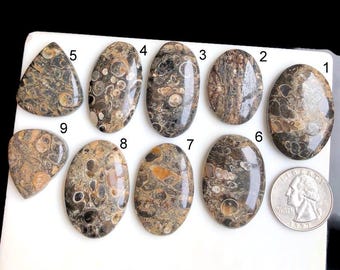 May include: Ten oval-shaped polished stones with brown, black, and white patterns. The stones are numbered 1 through 9.
