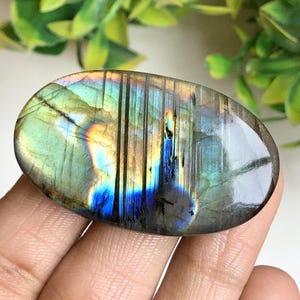Geweldige cabochon labradoriet, 45 x 26 x 8 mm (ca. en ovale vorm), AAA-kwaliteit multi-flitsende steen, halfedelsteen voor sieraden 84218