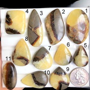 Cabujón septariano amarillo seleccionado, piedra semipreciosa natural para joyería, joyería septariana hecha a mano, lote 179