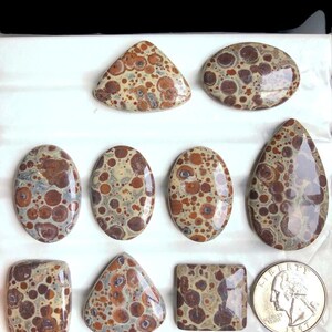 Cabochon en jaspe astéroïde sélectionné, pierre semi-précieuse naturelle pour bijoux, style du sud-ouest et bijoux fabriqués à la main par des artisans LOT-265