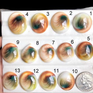 Australian Eye Shell Cabochon,  Natural Semi Precious Gemstone For Jewelry Making, Eye Shell Healing Crystal Jewelry, Loose Gemstone LOT-220