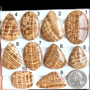 Ausgewählte Aragonit Cabochon, natürlicher Halbedelstein für die Schmuckherstellung, Aragonit Heilstein Schmuck, Power Crystal