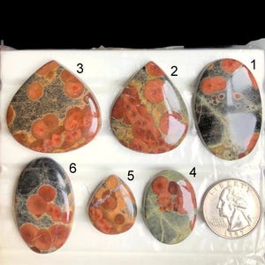 Cabochon di ossidiana a forma di arachide SEELCTED, pietra semipreziosa naturale per gioielli, pietra portafortuna, cabochon di ossidiana di cristallo LOT-A87