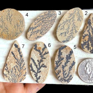 Cabujón de fósil de dendrita seleccionado, piedra preciosa suelta, hermosa piedra preciosa de fósil de dendrita para hacer collares, cristal de poder, artículo de regalo LOT-K2