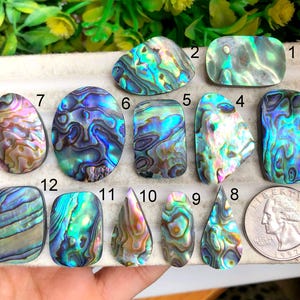 Cabochon de coquille d'ormeau de qualité supérieure, magnifique pierre précieuse naturelle de coquille d'ormeau de couleur de paon arc-en-ciel pour la fabrication de bijoux LOT-P4