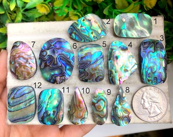 May include: Twelve iridescent abalone shell cabochons in various shapes and sizes, numbered 1 through 12. The cabochons are arranged in two rows on a white surface. A US quarter is included for scale.