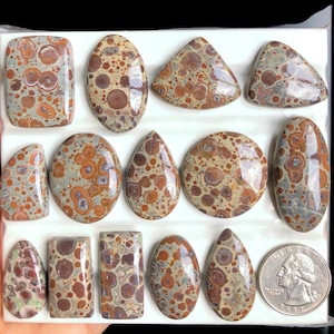 Cabujón de jaspe asteroide seleccionado, piedra semipreciosa natural para joyería, estilo suroeste y diseños artesanales. Lote de joyería: 145