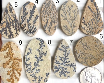 Geselecteerde dendrietfossiele cabochon, natuurlijke halfedelsteen voor het maken van sieraden, dendrietfossiele ketting en armbandsieraden LOT-A473