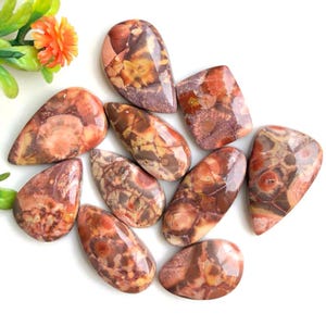 Cabochons en oeil d'oiseau, 17 x 27 mm, forme mélangée, lot de 10 pièces avec dos plat, pierres précieuses, cabochons en oeillet polis à la main, bijoux en vrac 84610