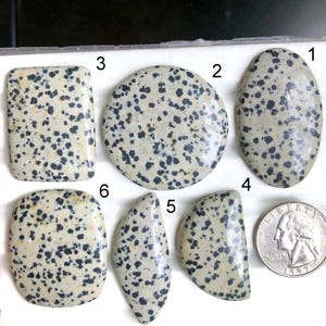 Cabochon dalmate sélectionné, pierre semi-précieuse naturelle pour la fabrication de bijoux, bijoux de créateur de style bohème dalmate LOT-A193