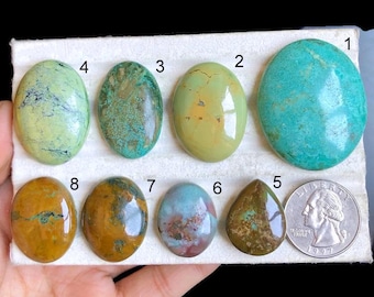 May include: Ten oval and teardrop shaped turquoise cabochons in various shades of green, blue, and brown. The stones are arranged in two rows on a white surface. A silver US quarter is included for scale.