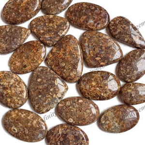 Turtella jasper Cabochão Lote de atacado, formas e tamanhos mistos Turtella Jasper Jóias Use para enrolar fios Pingentes