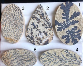Geselecteerde dendrietfossiele cabochon, natuurlijke halfedelsteen voor het maken van sieraden, dendrietfossiele handgemaakte hangers sieraden LOT-797