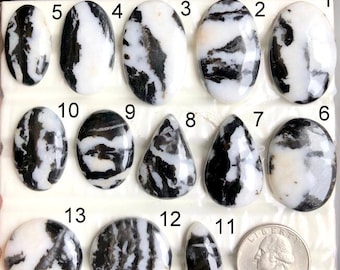 May include: A collection of thirteen zebra jasper gemstones in various shapes, including oval, teardrop, and round. The stones feature a striking black and white striped pattern. A US quarter is included for size reference.