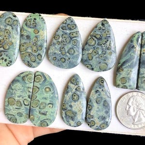 SELECTED Kambaba jaspis oorbellen paar cabochon, handgemaakte sieraden, prachtige stenen, geweldige vorm, goede kwaliteit, natuurlijke edelsteen LOT-E6