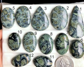 May include: A collection of twelve polished gemstones in various shapes, including oval, teardrop, and irregular forms. The stones display a mottled pattern of green and black, with a quarter for size comparison.