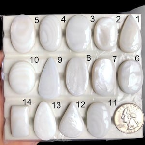Cabochon di conchiglia bianca selezionata, pietra semipreziosa naturale per la creazione di pendenti perfetti, gioielli in cristallo di conchiglia bianca liscia LOT-A64