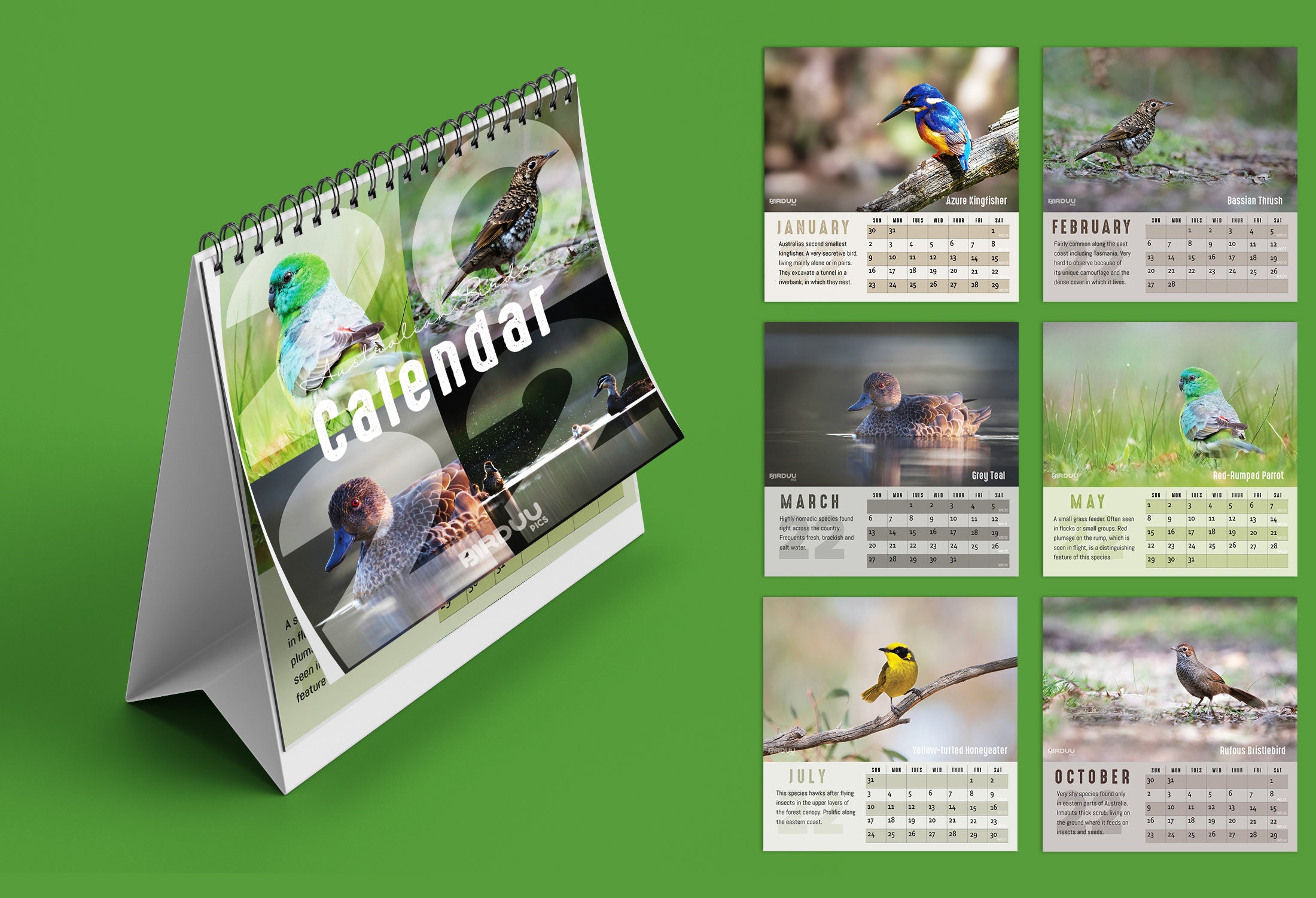 2022 Desk Calendar Mini Calendar 2022 Calendar Desk Calendar Small Calendar Bird Watcher Gift 2022 Planner Bird Photography