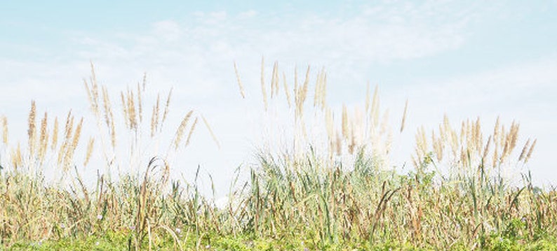 Secret Garden Gwelup Western Australia Gift Tag Etsy