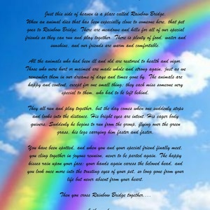 May include: A rainbow-colored background with a poem about the Rainbow Bridge, a place where pets go after they die. The poem talks about how pets are reunited with their loved ones and are happy and healthy again. The text includes the words "Rainbow Bridge" and "Author unknown..."