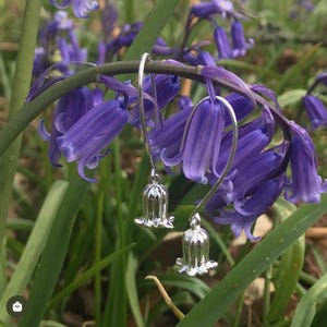 Boucles d&#39;oreilles pendantes en argent sterling avec jacinthe des bois : cadeau de bijoux nature